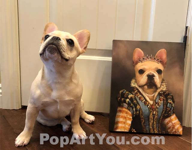 French bulldog sits on the floor next to a portrait of a bulldog dressed as a queen