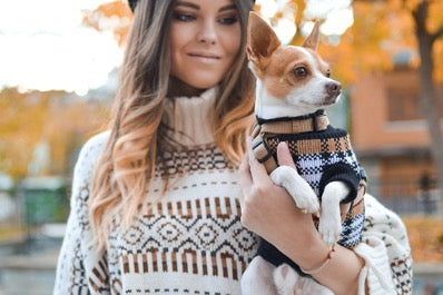 Girl in a sweater holds a dog in a sweater in her arms