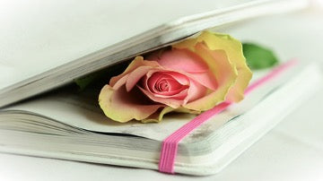 White notebook with a rose inside