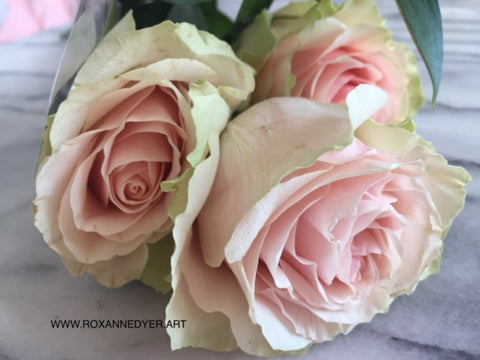 Pink Roses, photo by artist Roxanne Dyer inspiration for the ROSES 2022 art project