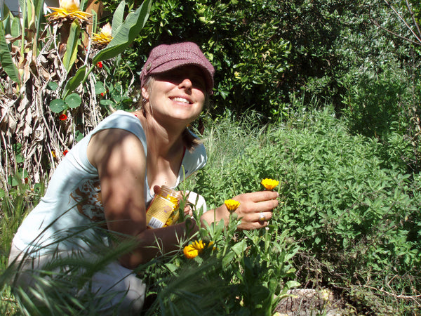 The Green Goo Herbalist: on Sunshine Incarnate (aka the Benefits of Calendula)