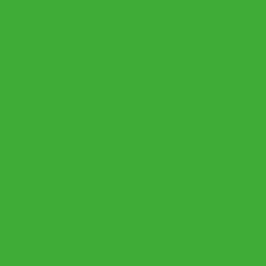 4507 Light Green (1.23X50M)