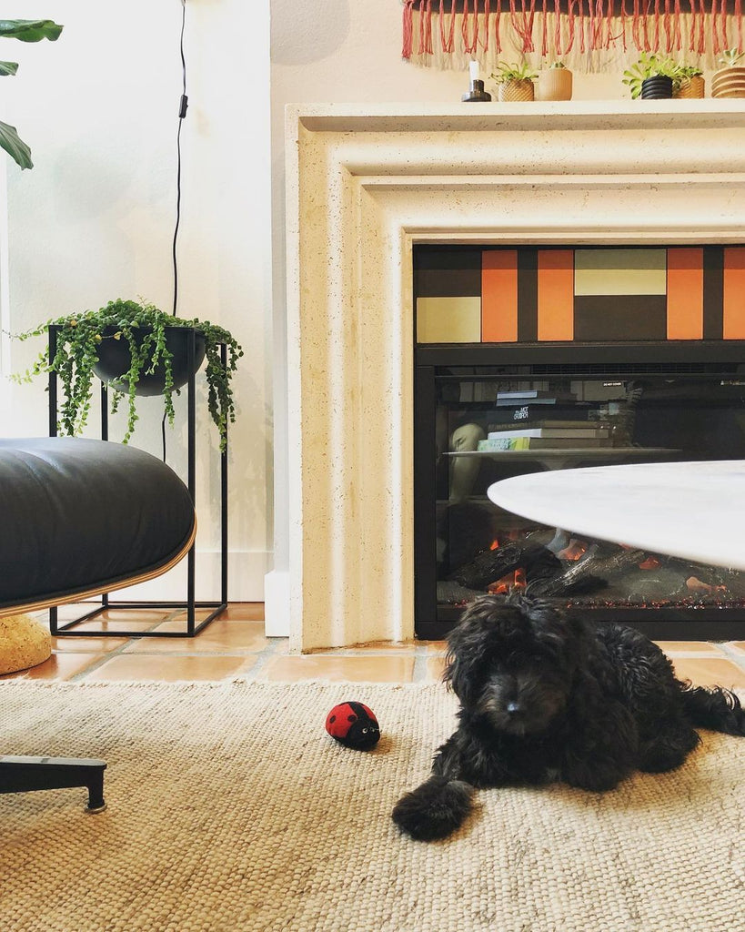 Black dog in front of a fireplace with stone mantel.