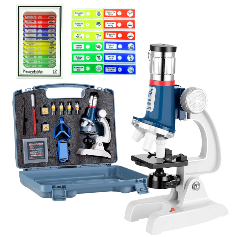 microscope diagram for kids