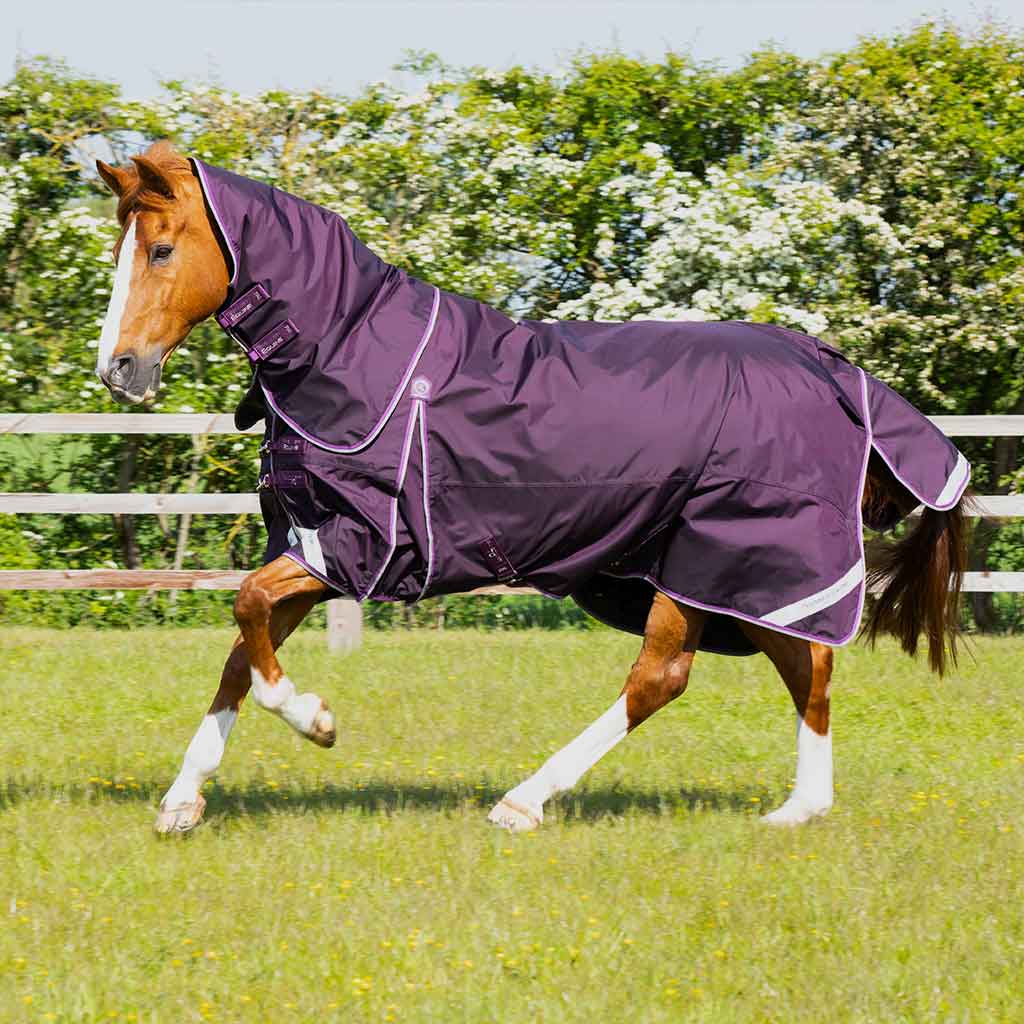Buster Lightweight Turnout Rug with Shoulder Gusset Movement