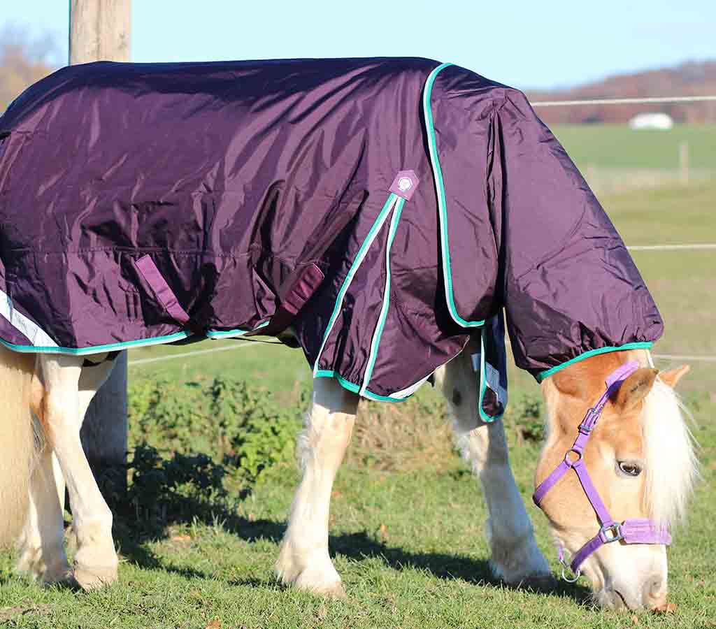 Buster 200g Turnout Rug with Neck Cover - in field 