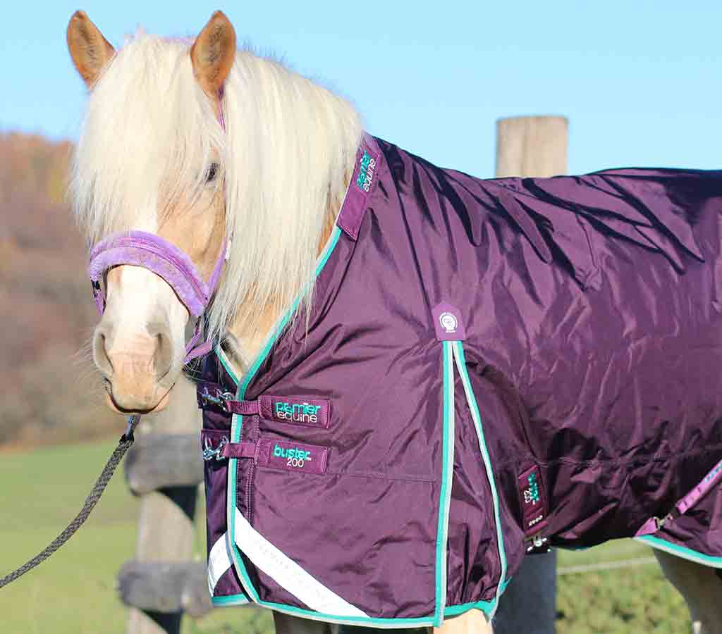Buster 200g Turnout Rug with Neck Cover - without neck in field 