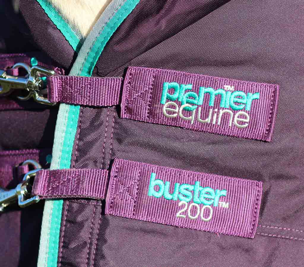 Buster 200g Turnout Rug with Neck Cover - Chest Clip Close Up