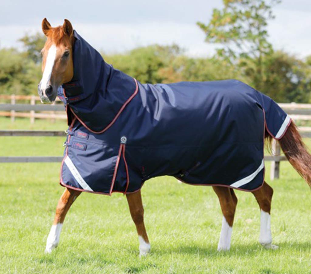 Titan 450g Turnout Rug with Neck Cover