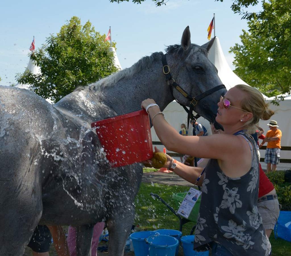 Paul Tapner Cool Off