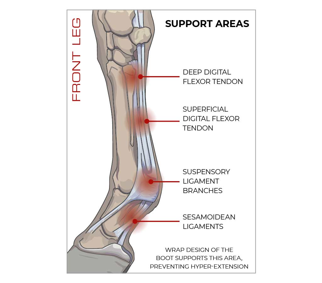 Sports Medicine Boots Infographic