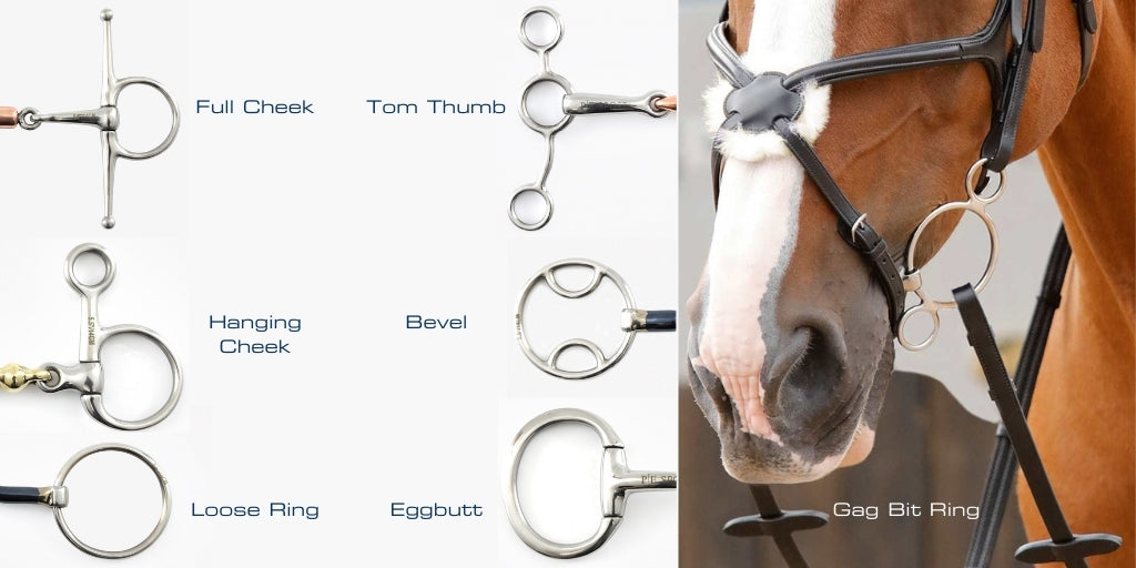 The different types of horse bit rings