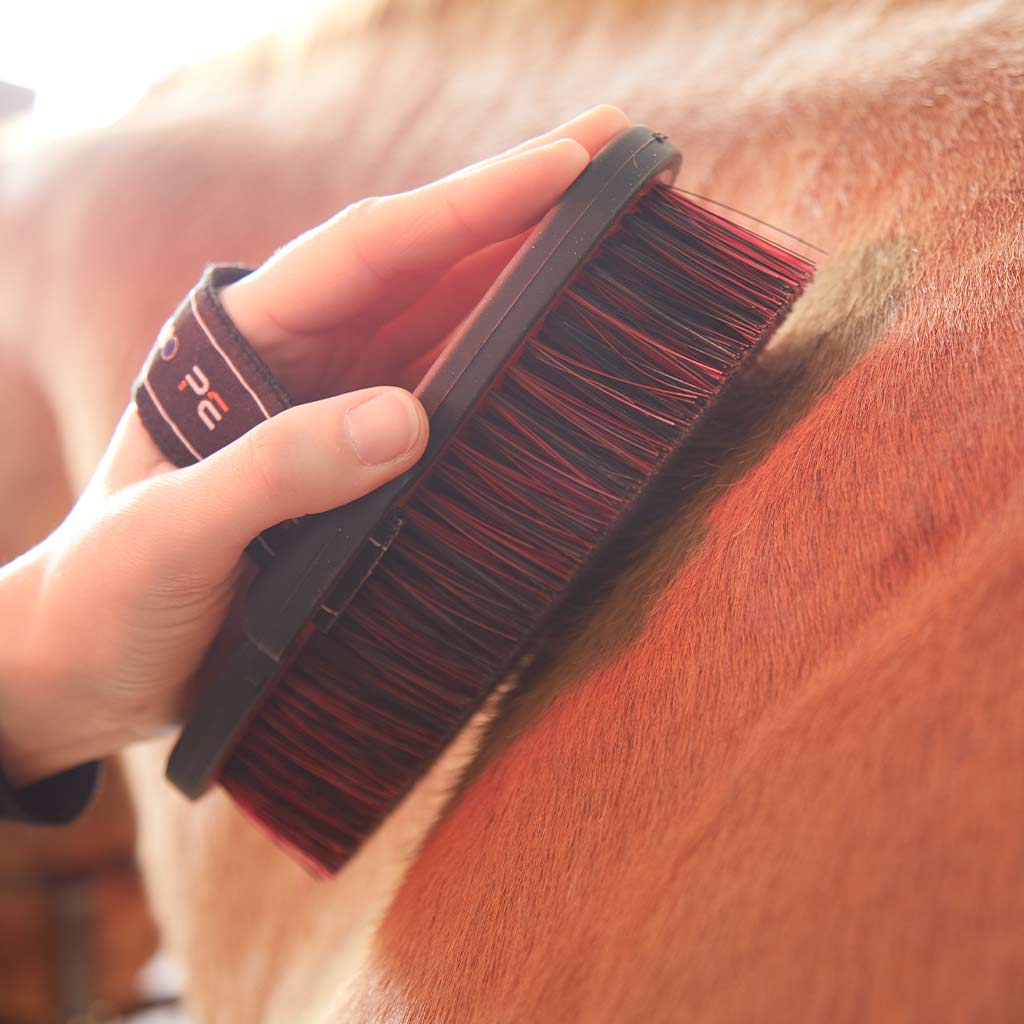 Horse Grooming Brush