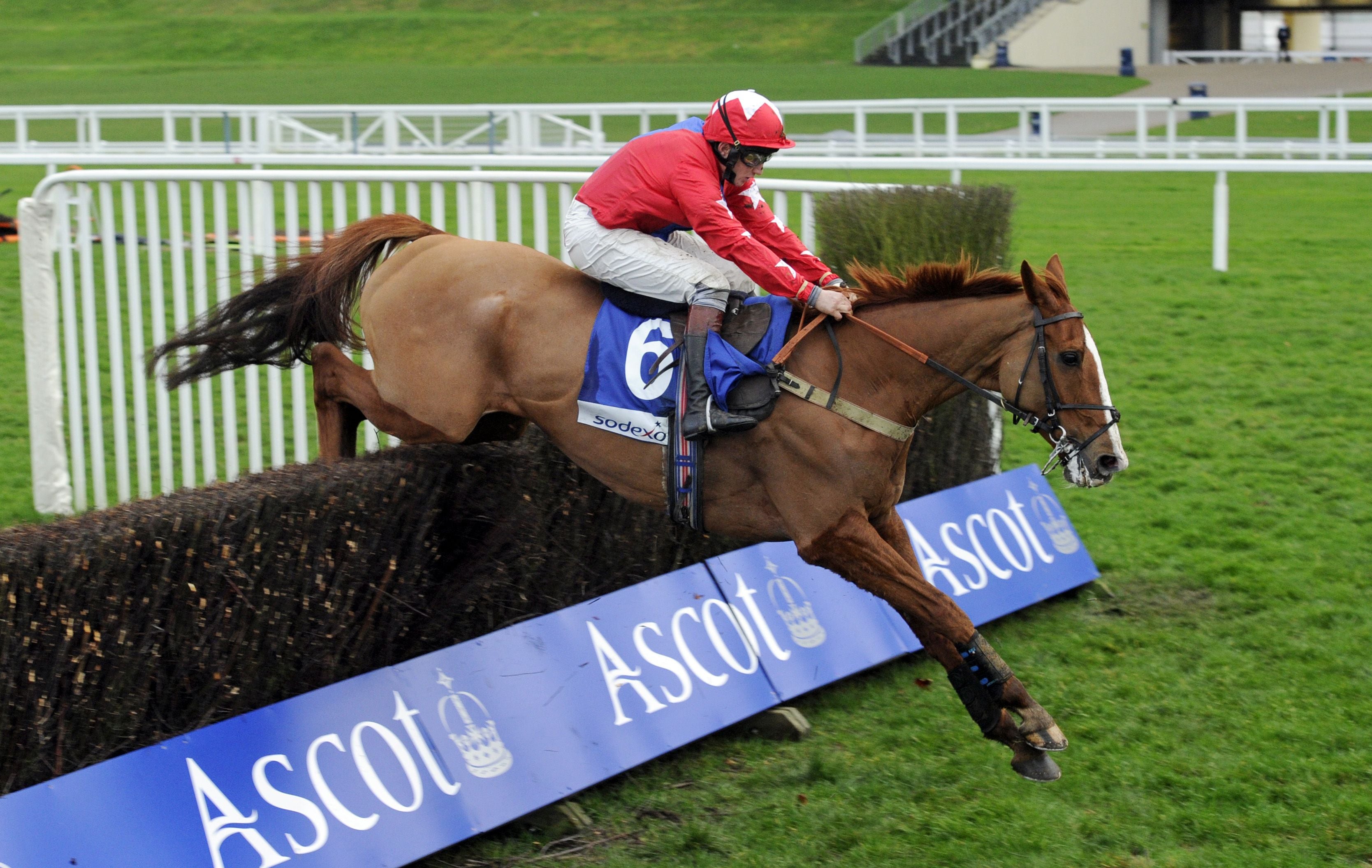 Horse racing image over hurdles
