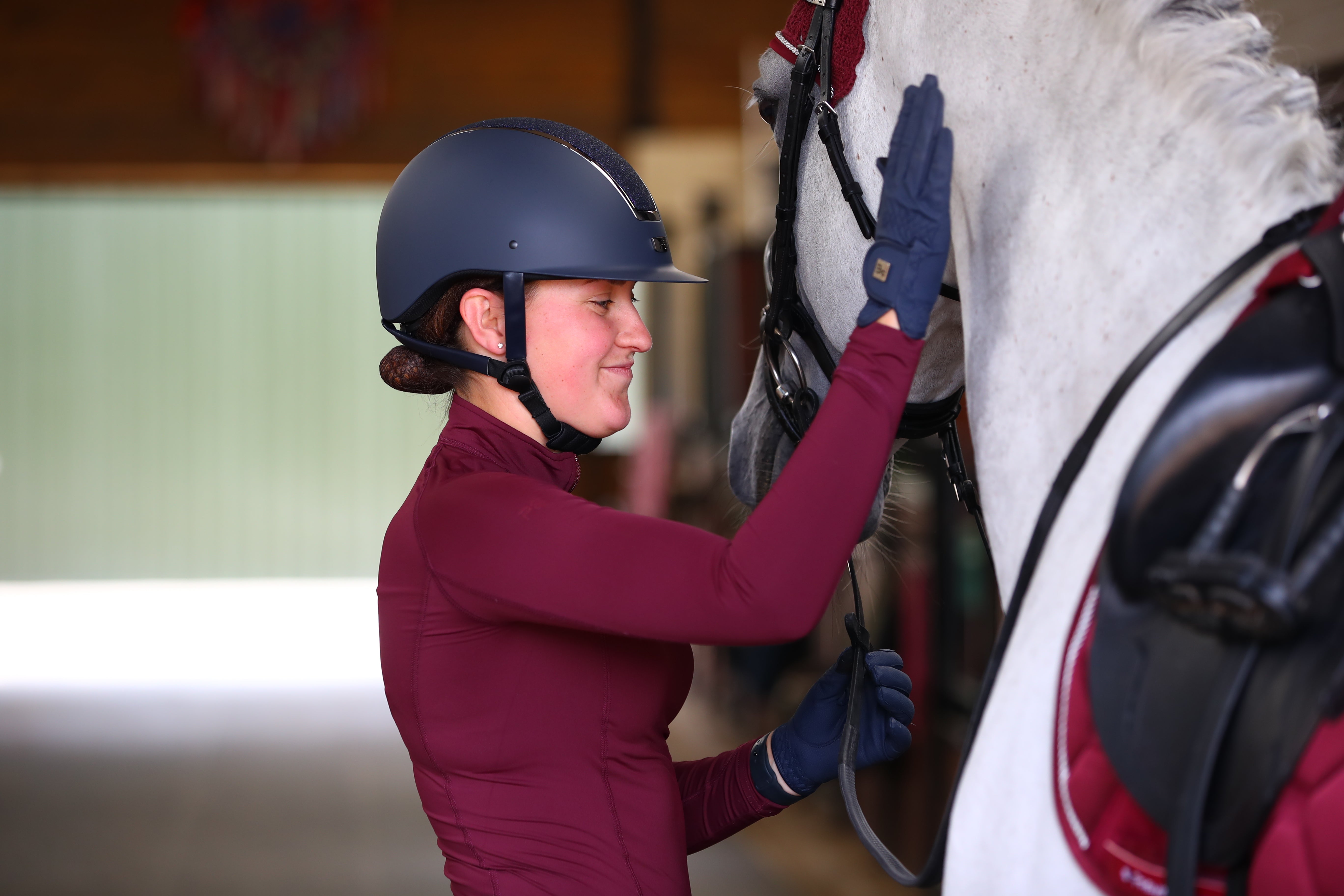 Horse and rider bond. Psychology of equestrian training