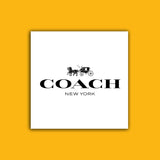 buy coach bags and shoes in Pakistan