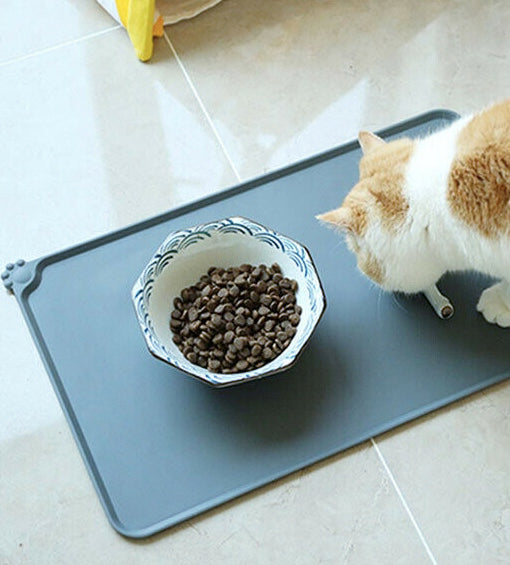 Pet Mat - Silicone