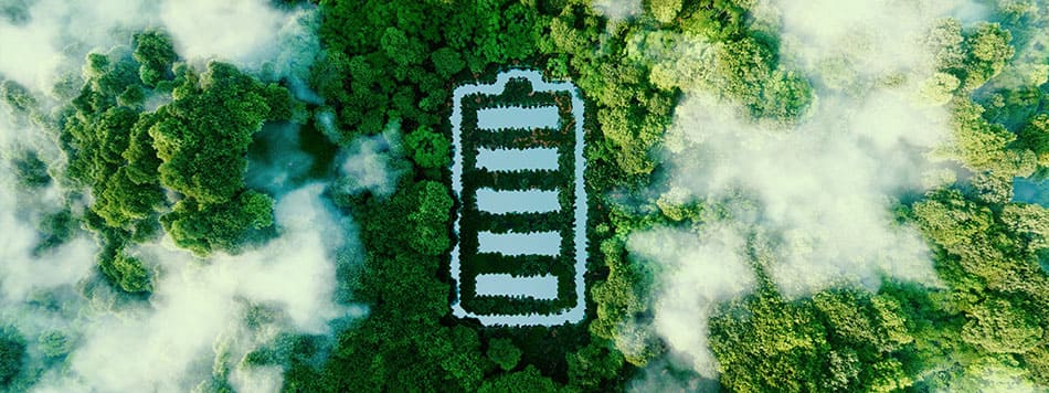 Looking down on a forest with a battery symbol in the center
