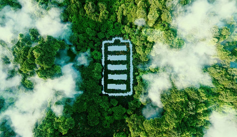 Battery logo embedded on a forest floor between trees from above.
