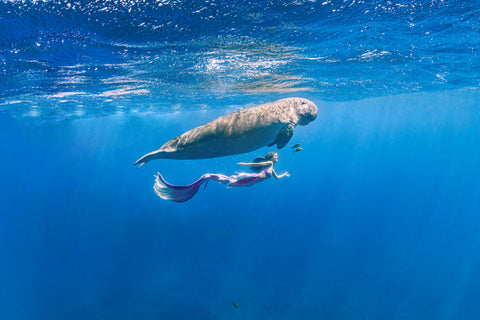Merfolk Holiday and Mermaid School in Egypt - Mermaid Kat swimming with Dugong