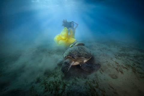Underwater Dance and Modelling Retreat - Underwater Photo Shoot with Turtle in the Red Sea