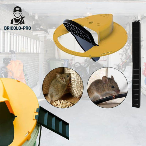 Lot de 8 pièges à souris professionnels - Piège à rat réutilisable en  plastique pour la cuisine, la chambre et la maison - 15,2 * 7,8 * 6,8cm