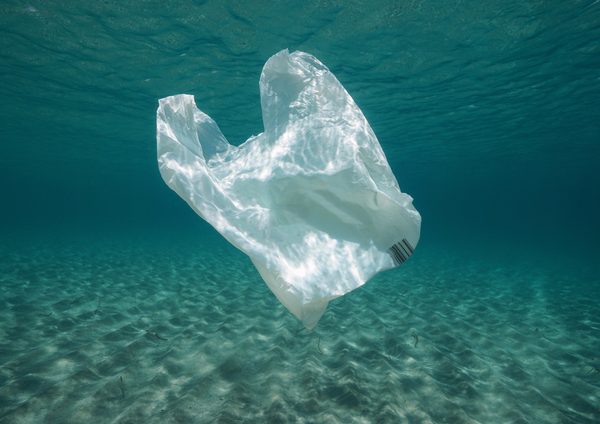Plastic bag ban perth
