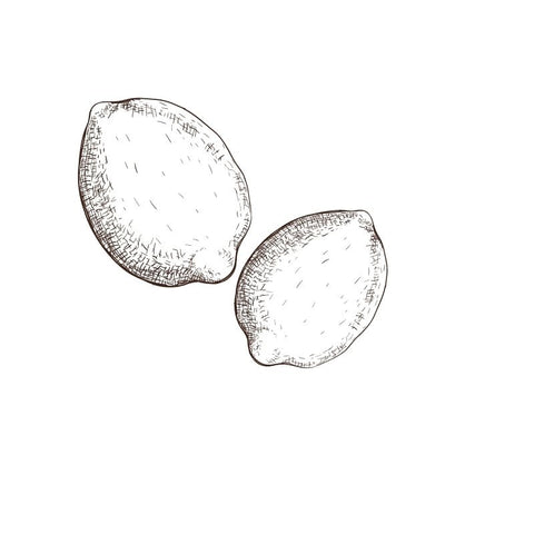 black and white drawing of two lemons by Wild Planet Aromatherapy