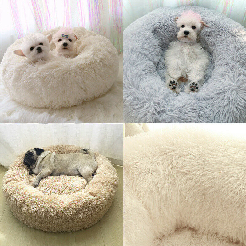 Dog Beds Cat Pet Calming Bed Large Mat Comfy Puppy Washable Petsymart