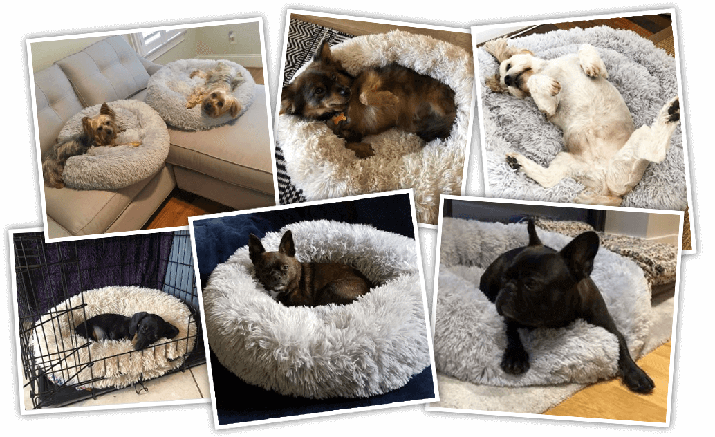 Winter Calming Pet Bed  superproductonline