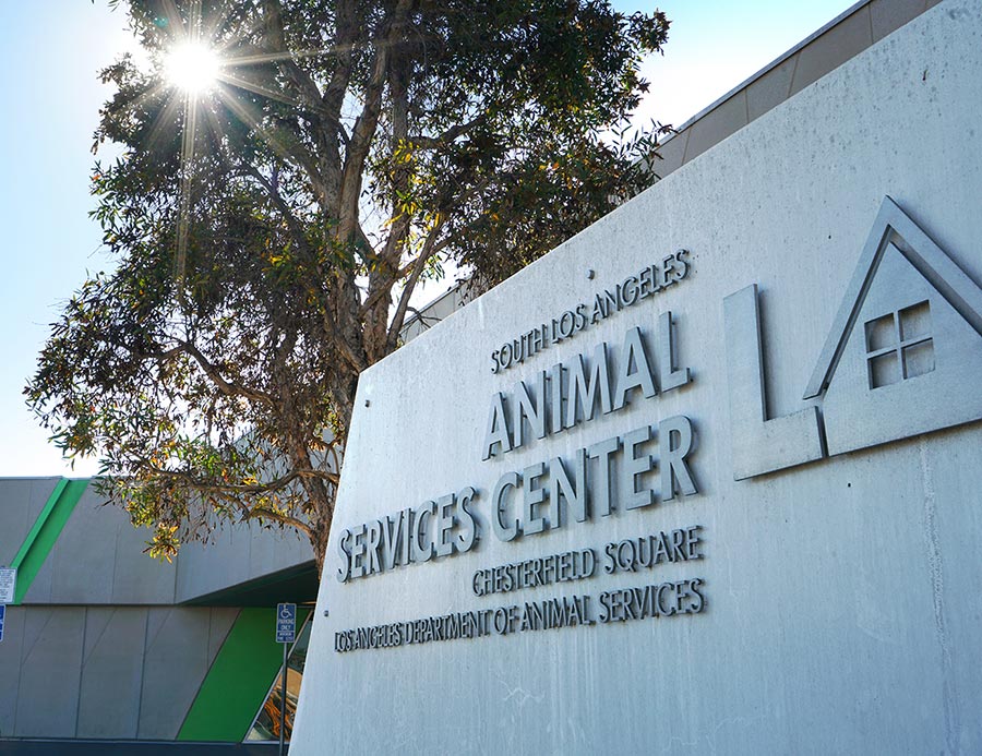 A sign for the South Los Angeles Animal Shelter