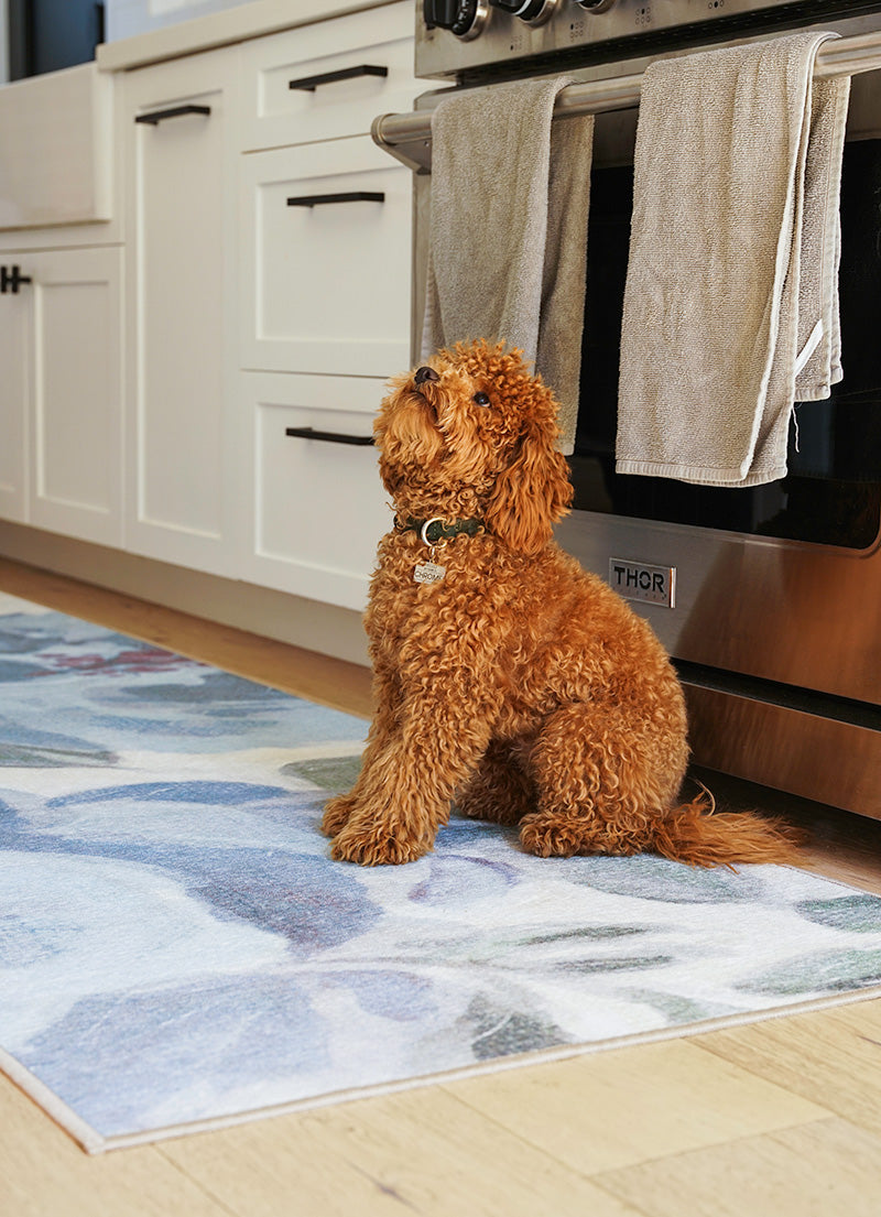 Dog in a kitchen on a floral blue washable area rug.