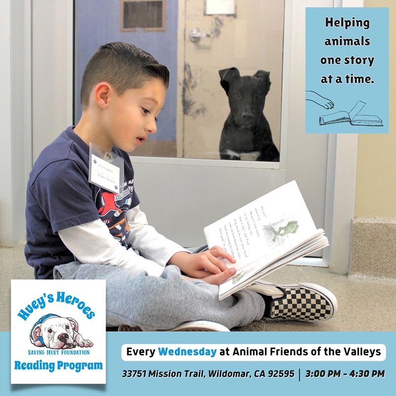 A boy reads to a dog at Animal Friends of the Valley