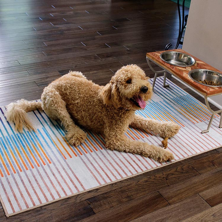 A dog sitting on a My Magic Carpet Flux Striped Multicolor washable rug.