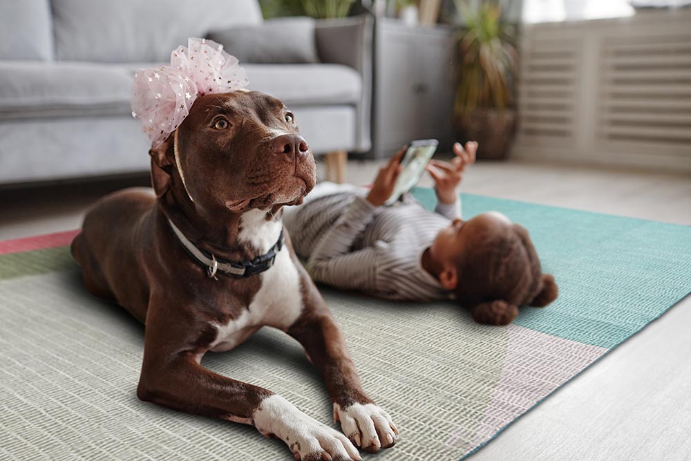 A dog sitting next to a girl on a cell phone sitting on a My Magic Carpet Cove Green washable rug.