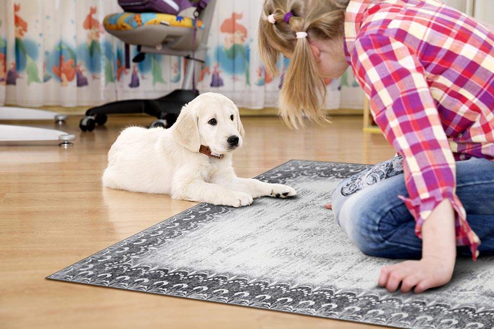 A girl in a room with a white puppy sitting on a My Magic Carpet Dardon Bordered Grey washable rug.