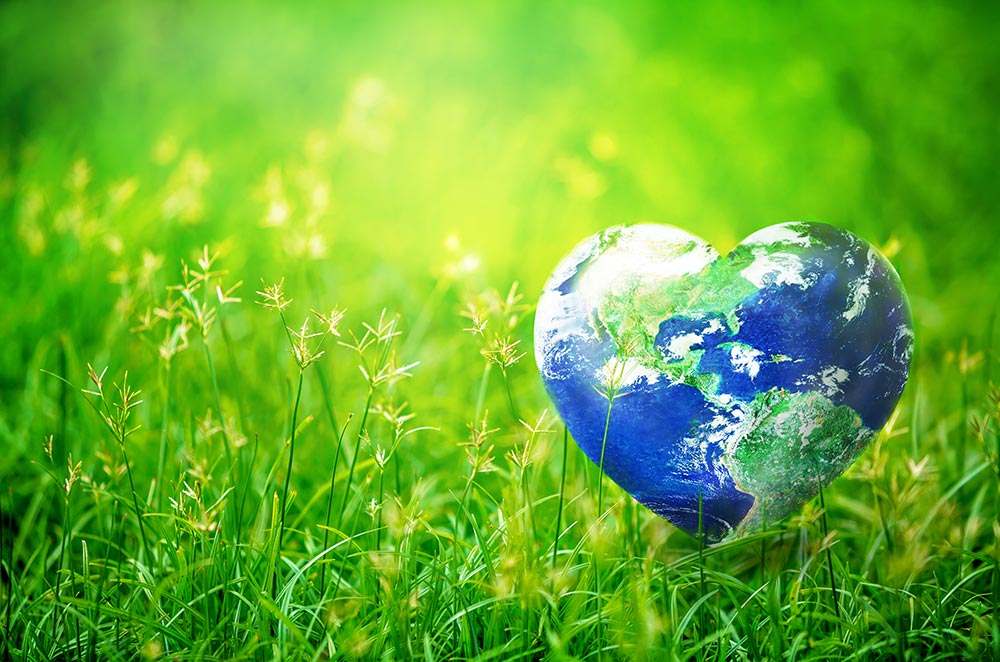 A grassy, green field with a globe in the shape of a heart. 