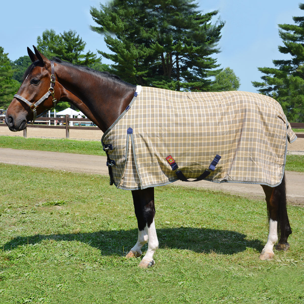 5/A Baker Heavy Weight 400gm Turnout Blanket