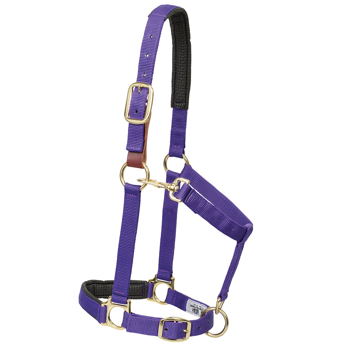 breakaway foal halter