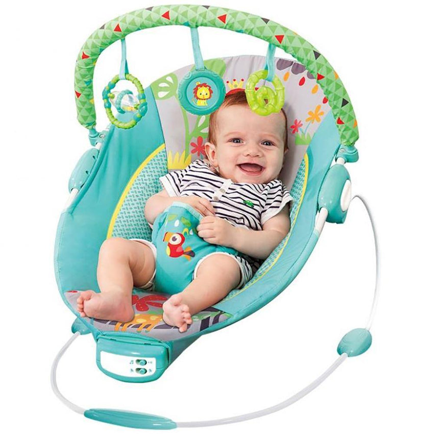 newborn bouncer swing