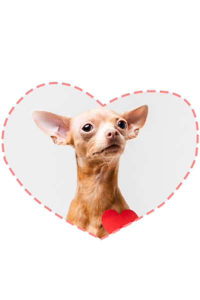 Valentine's treats for dogs