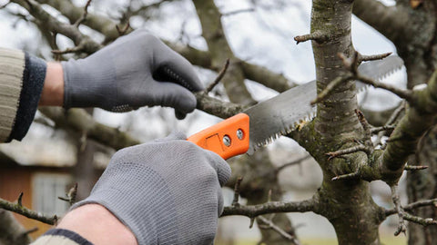 A Pruning Saw