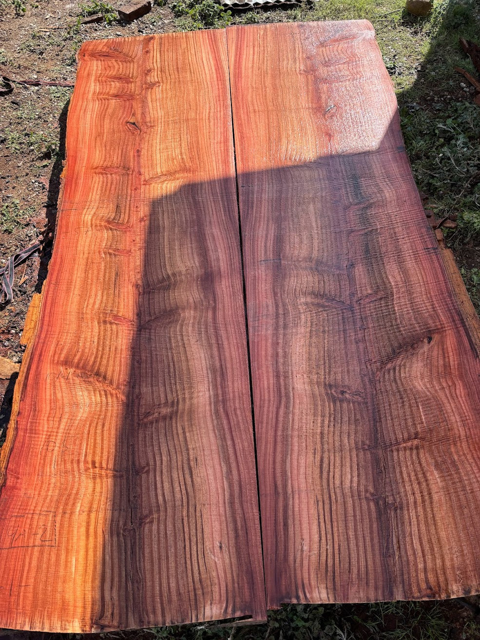 Giant Sequoia Slab 4A-2