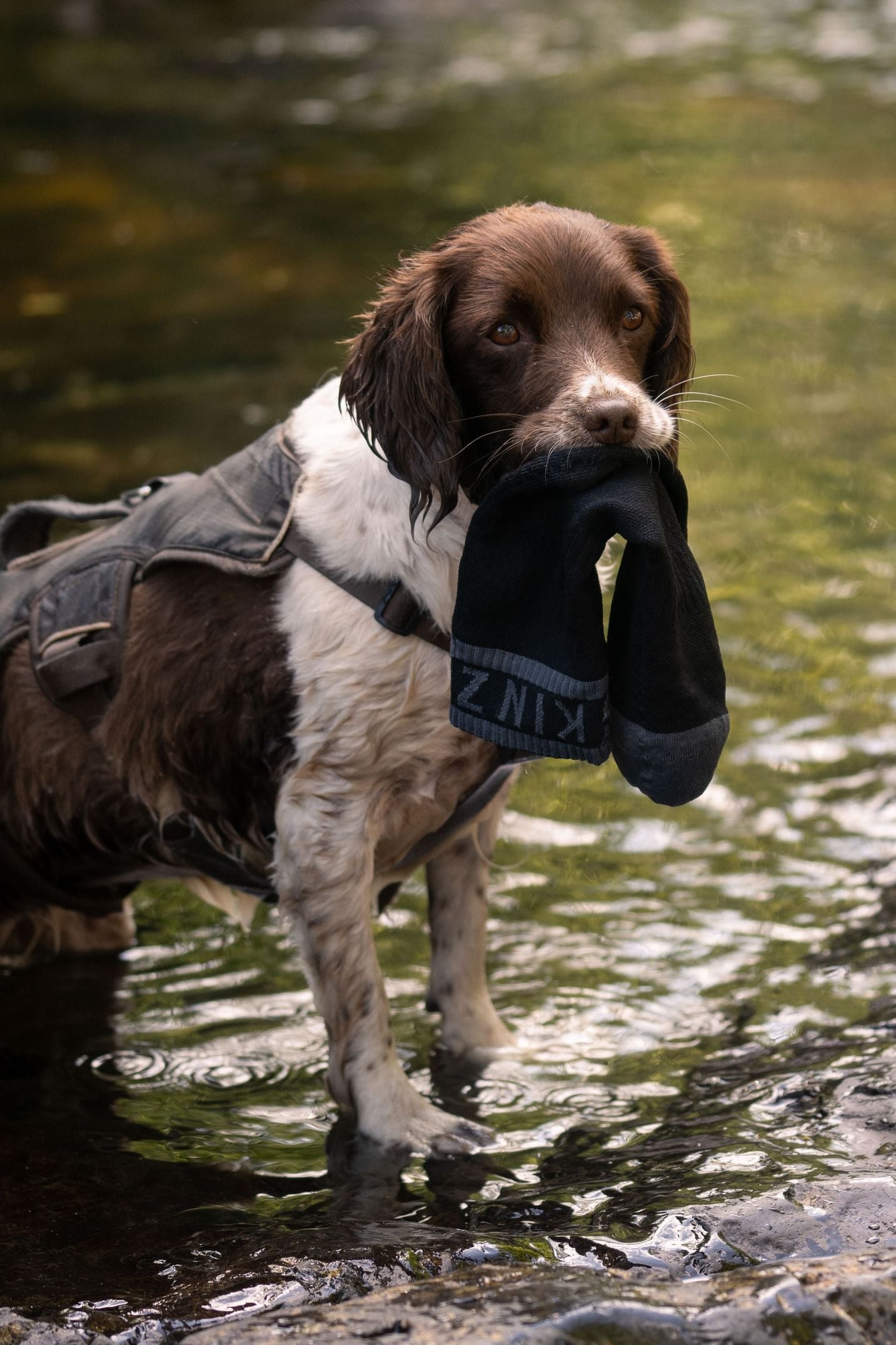 Sealskinz gloves are made for riding