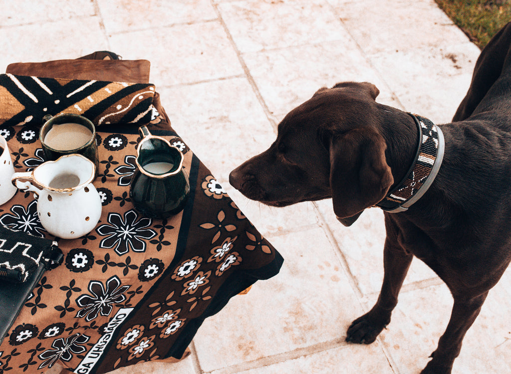 The mpira store (and a dog).