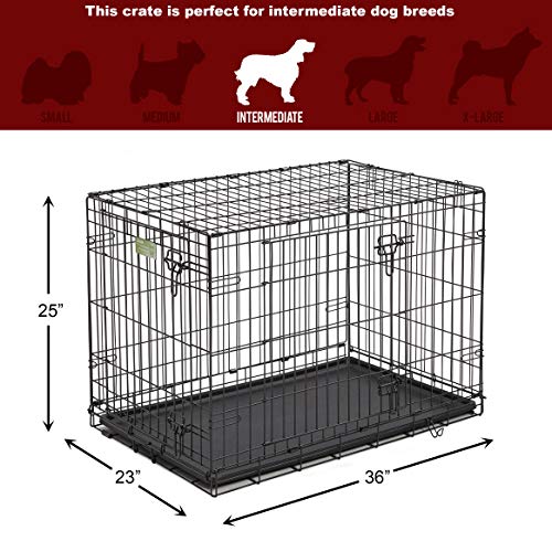 36 in dog crate with divider