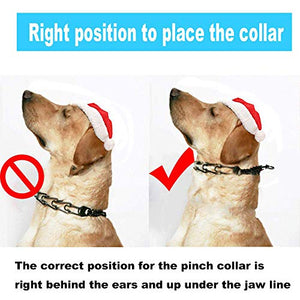 prong collar for dogs