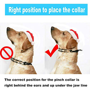 are prong collars good for dogs