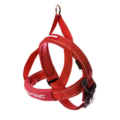 PetSafe 3in1 Harness, from The Makers of The Easy Walk Harness Medium –  Animal Crackers Miami