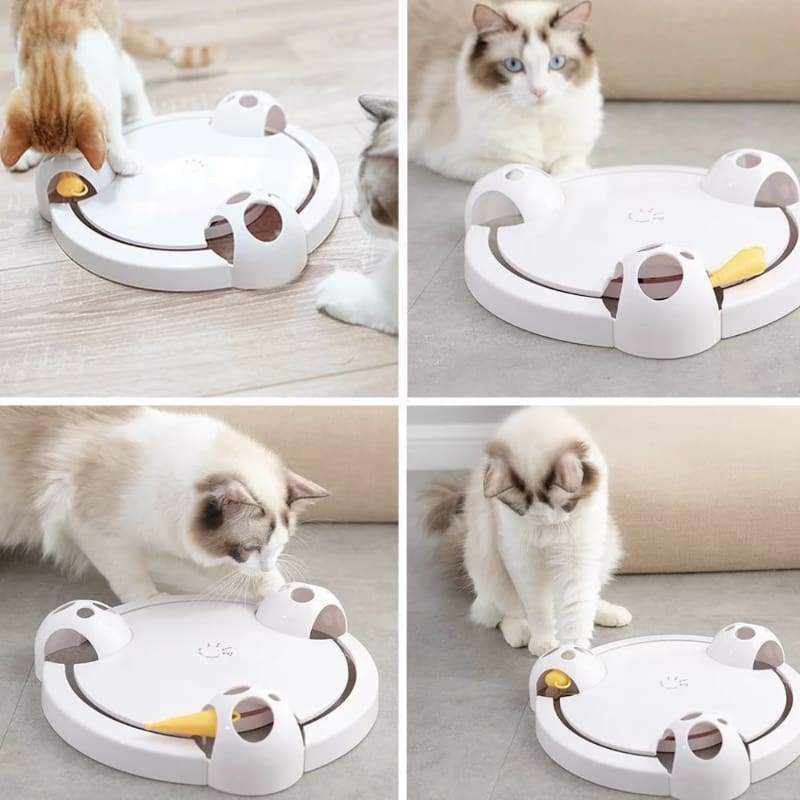 interactive mouse pounce cat toy